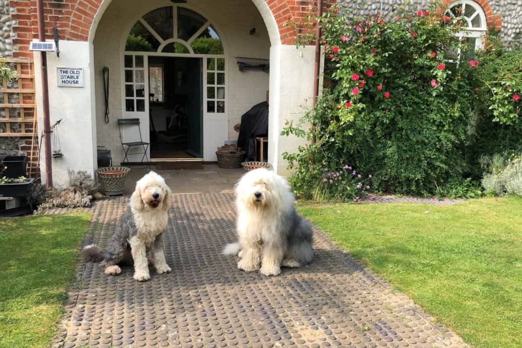 Hardy and Boz on hand to welcome guests