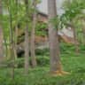 Rental image