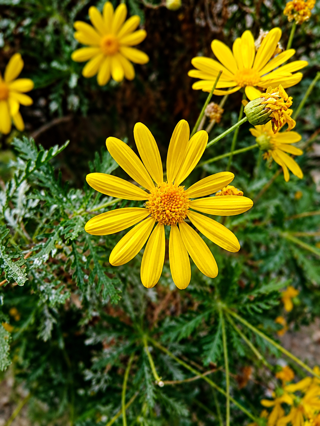 https://l.icdbcdn.com/oh/4eb0dc8c-c2b7-487f-94fd-58e3664fa275.png?w=2080-15