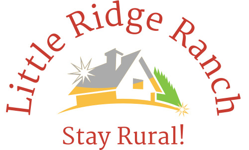 Farm Ranch House Vacation Rental In Ocala Williston Florida Stay