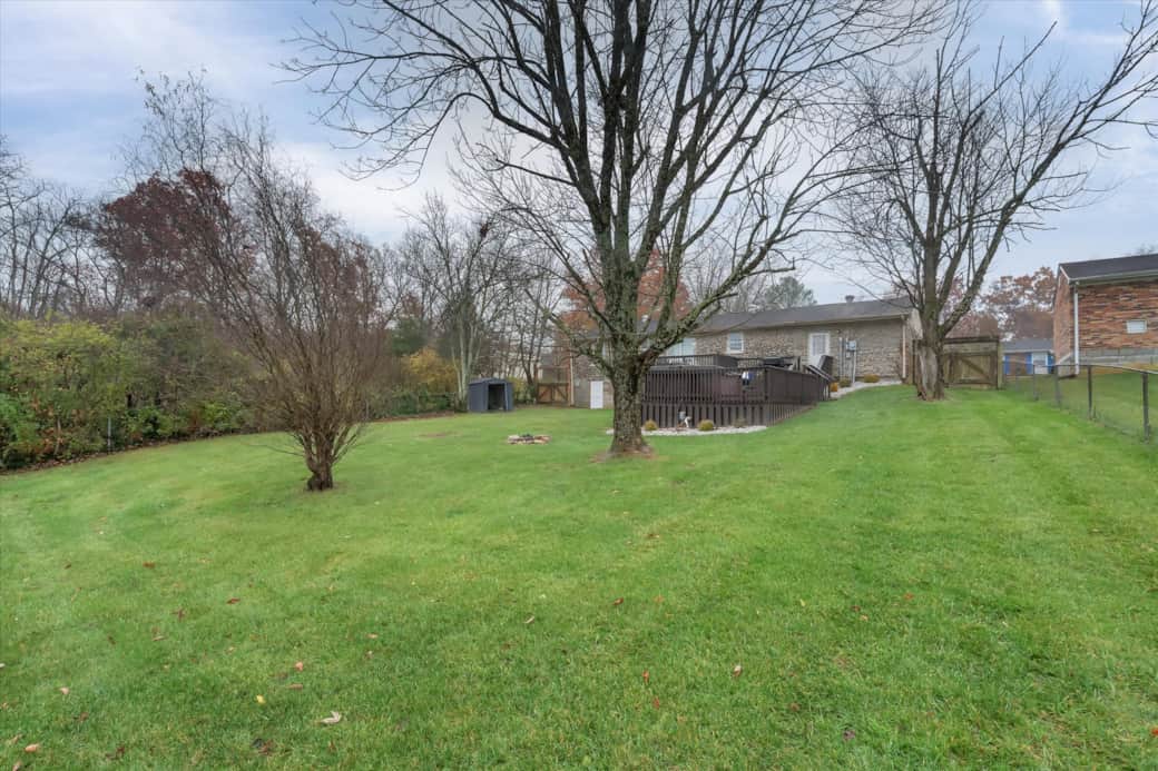 Backyard