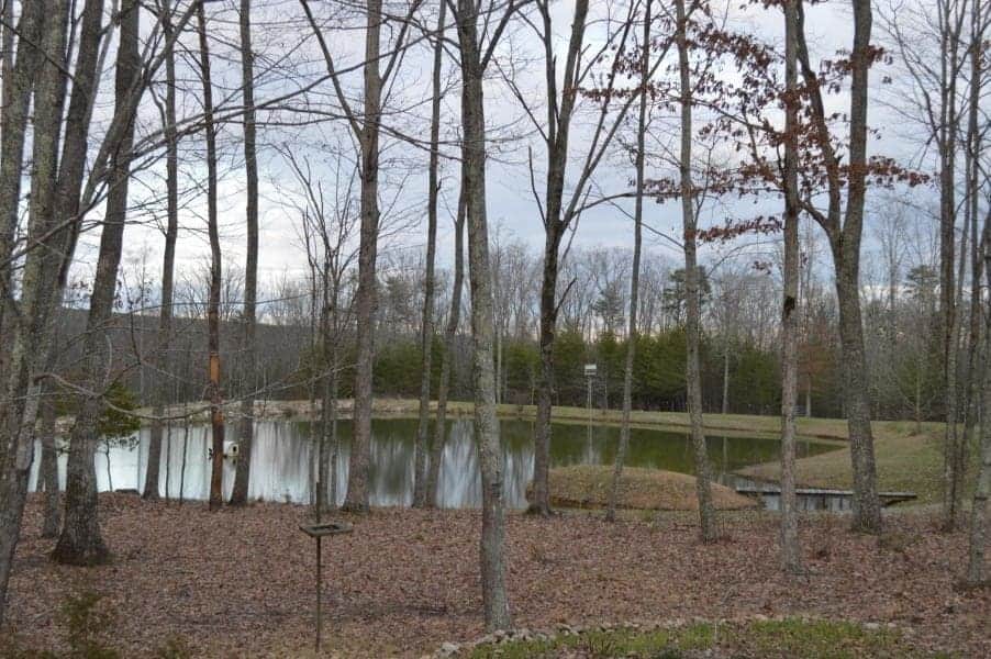 Fishing Pond