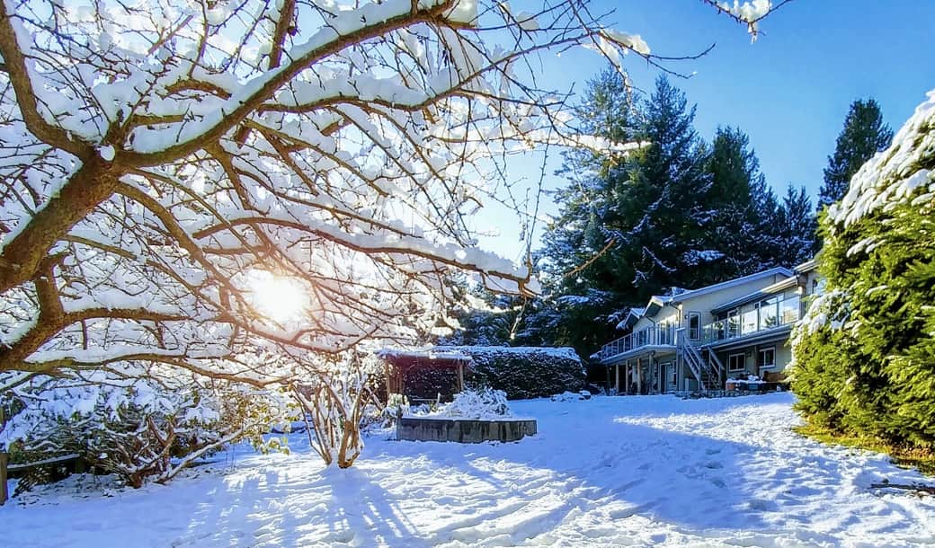 Under the snow