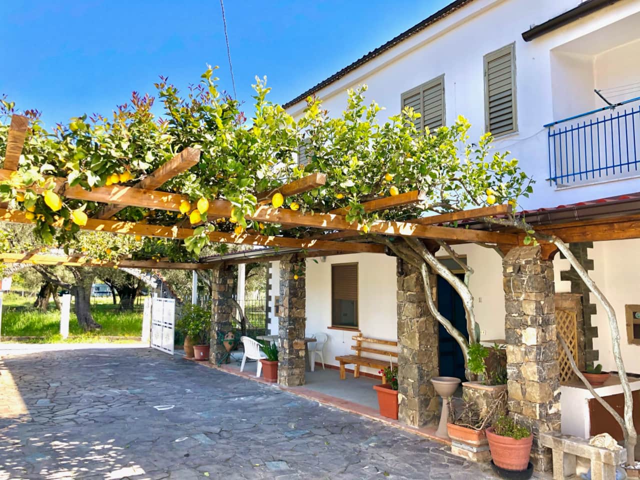 TERRAZZO APPARTAMENTO 