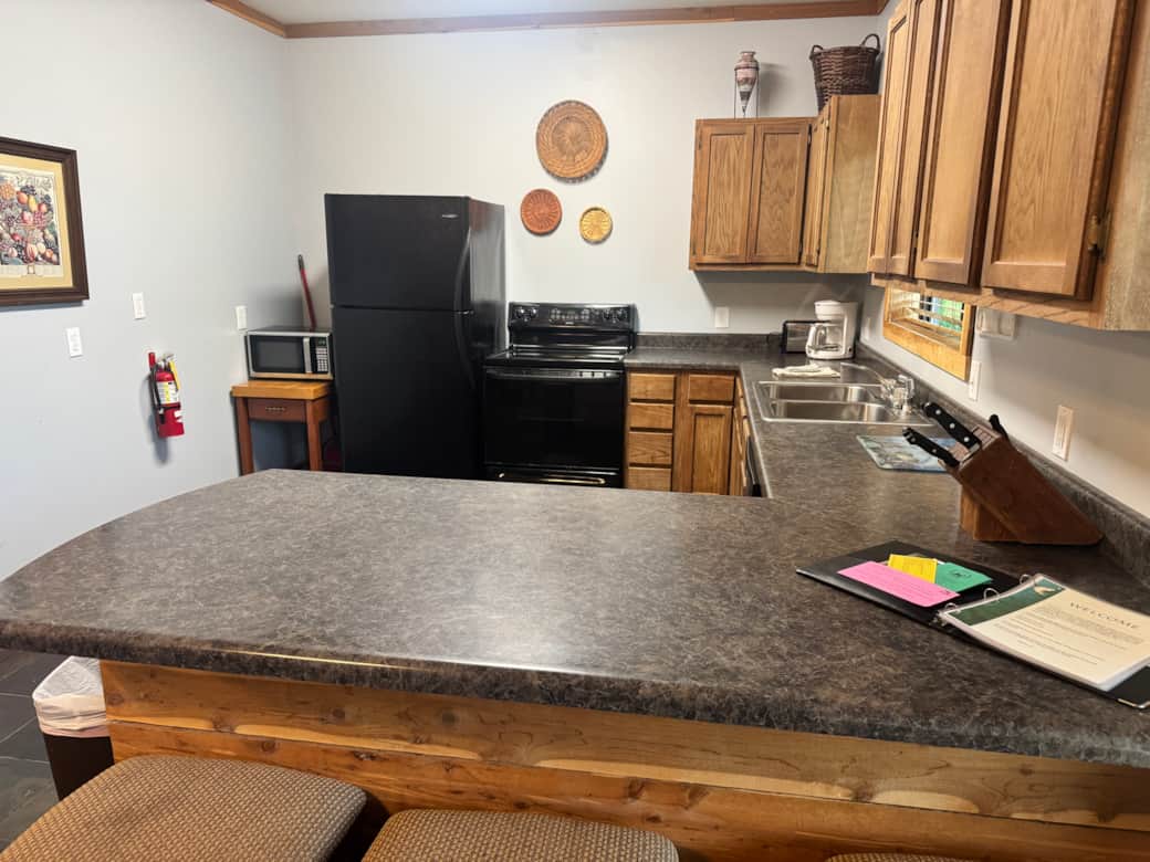 IMG 7004