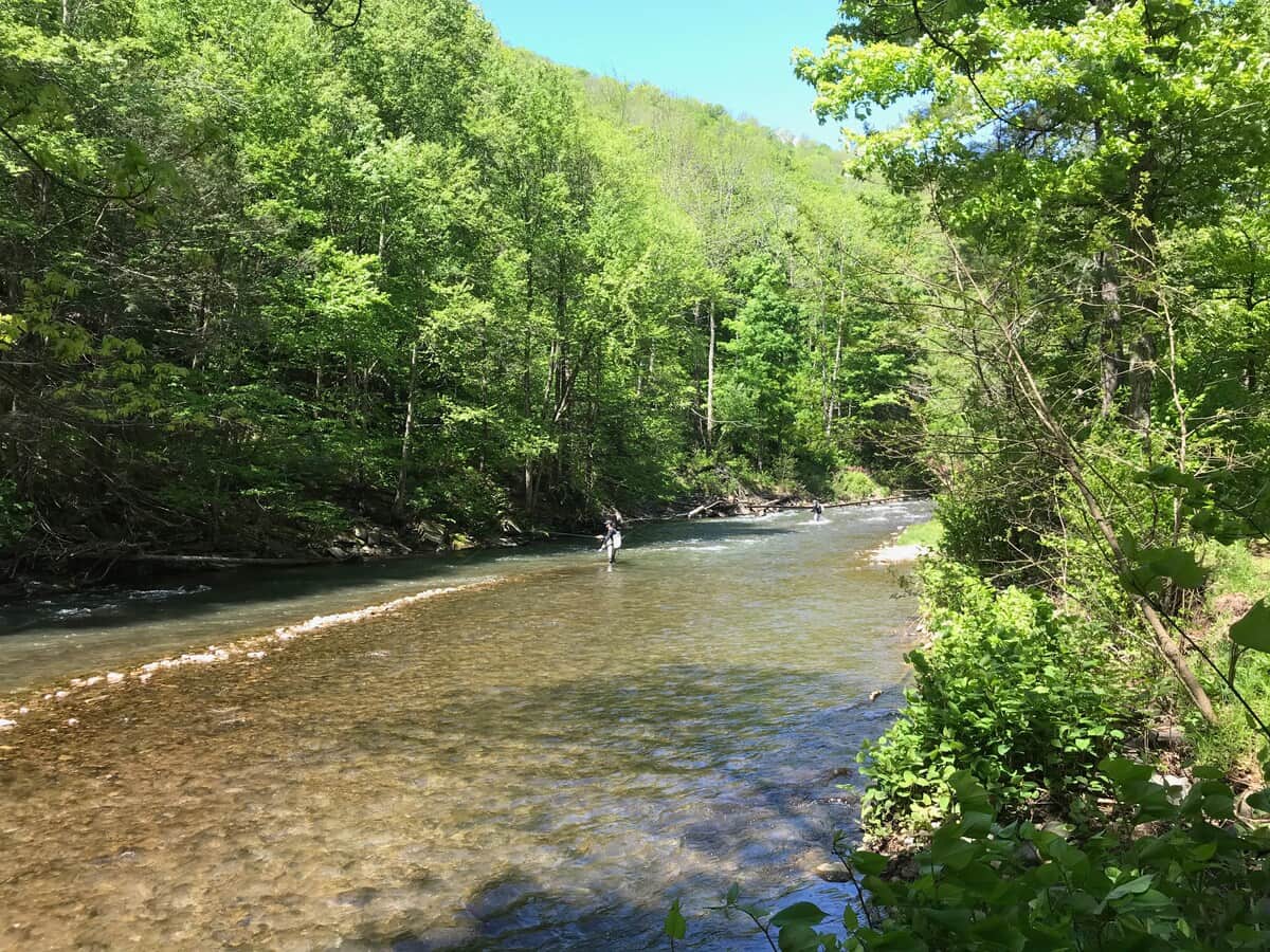 Esopus creek on property accessible through our trails
