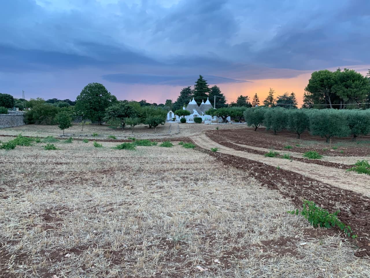 Trullo "Il Vecchio Fico"