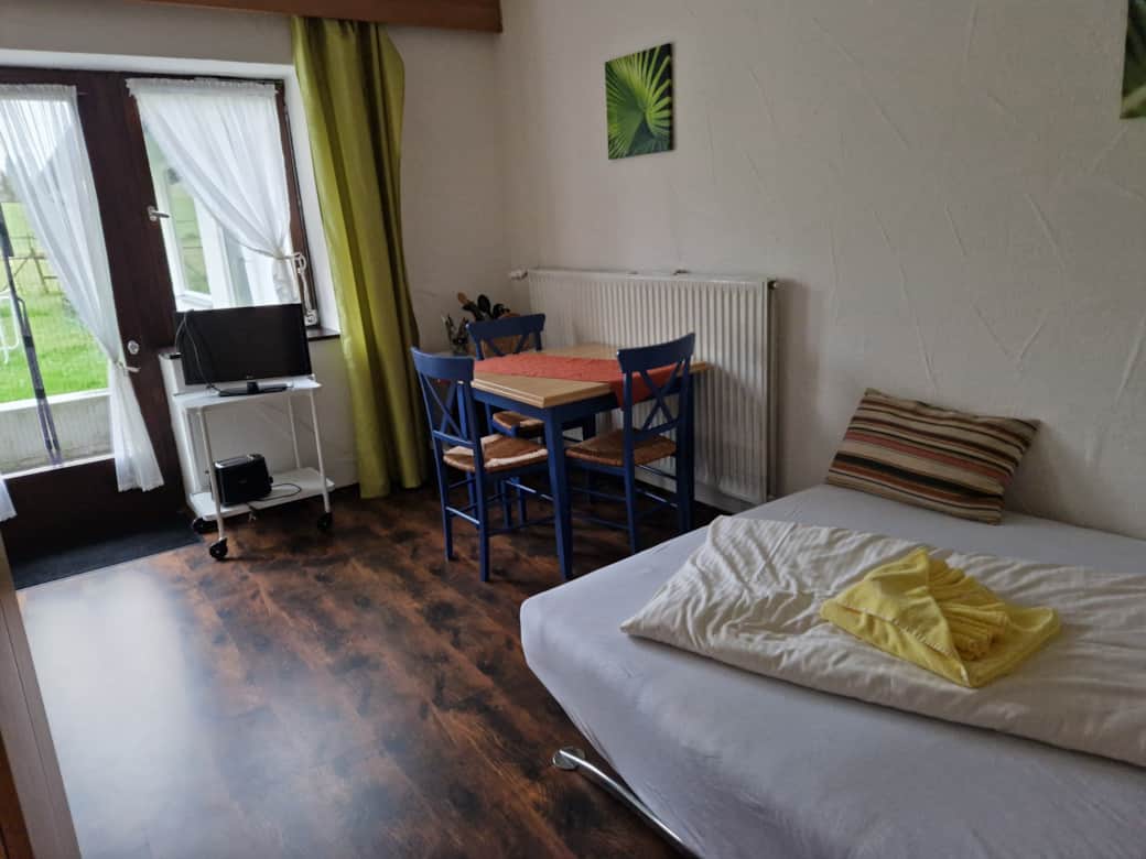 Schlafsofa und Essbereich