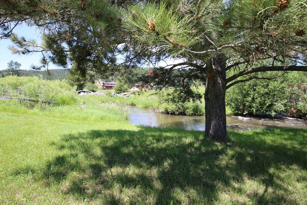 Surrounded by nature and Spring Creek