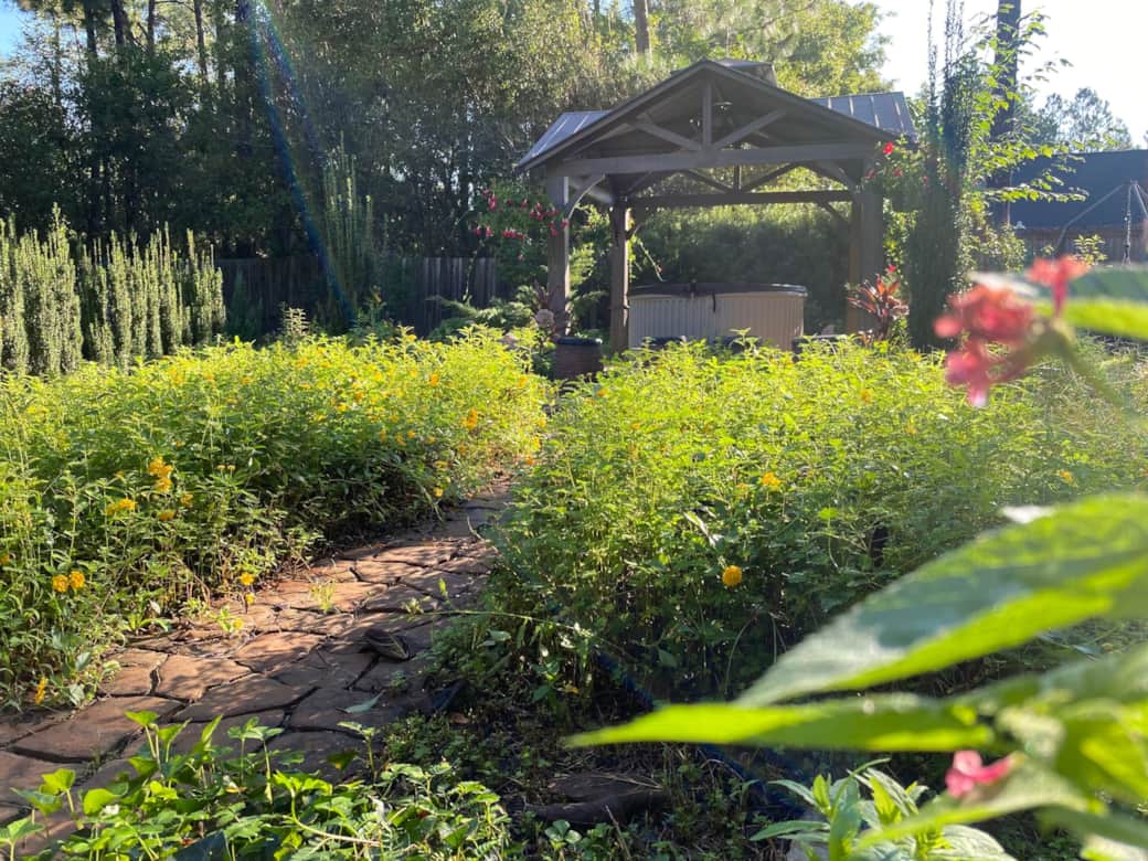 Backyard Backyard