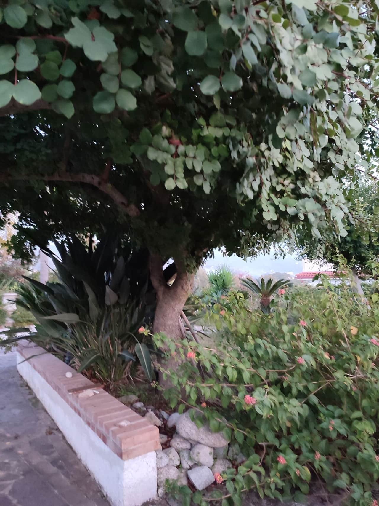 Holiday it Calabria