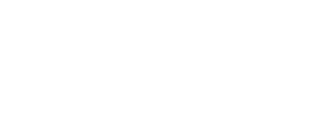 Tourmaline Duplex
