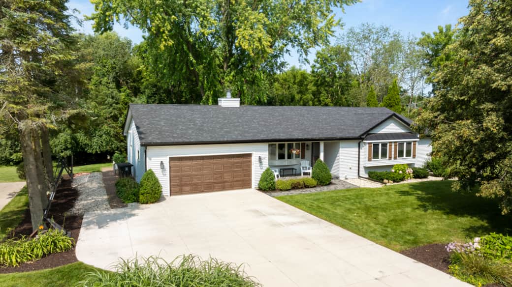 The Albatross The Albatross