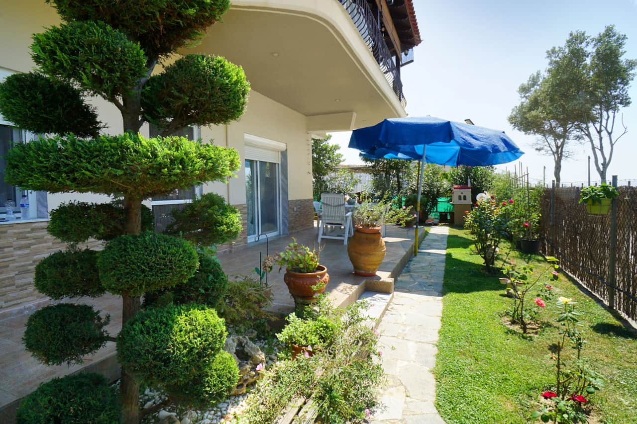 Alekos Ground Froor 02