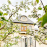 Rental image