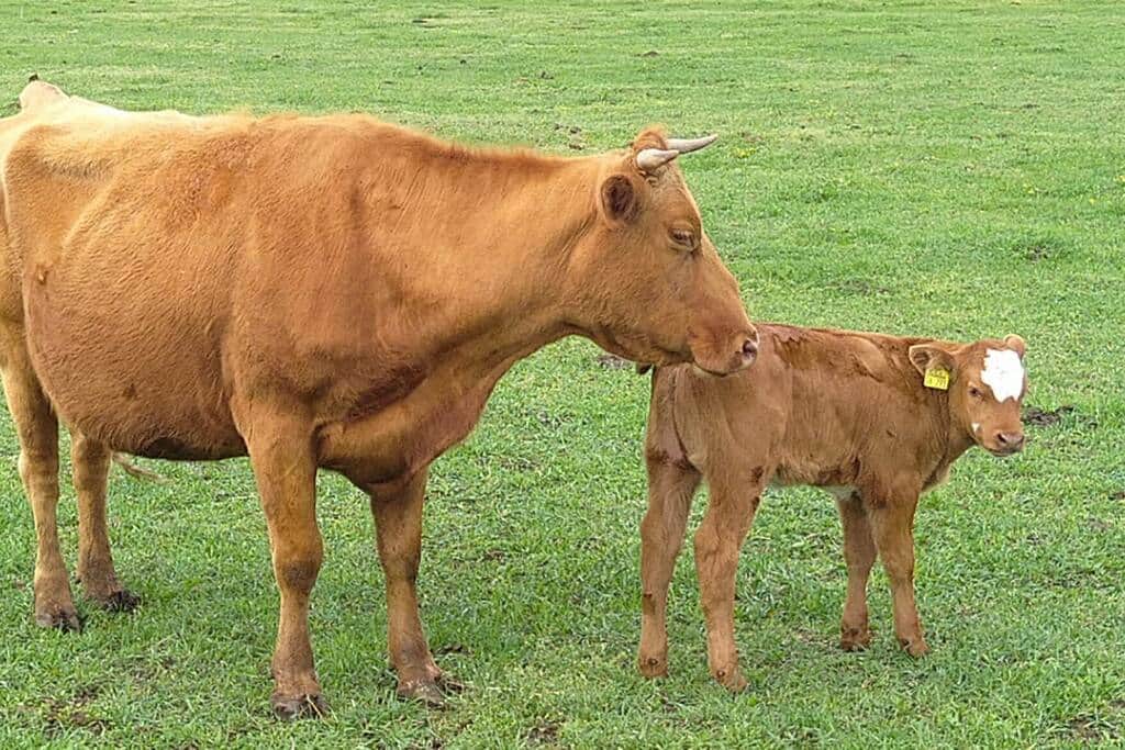 2de332ec 07fb 4b1b 8165 afe16f8919a7 2de332ec 07fb 4b1b 8165 afe16f8919a7