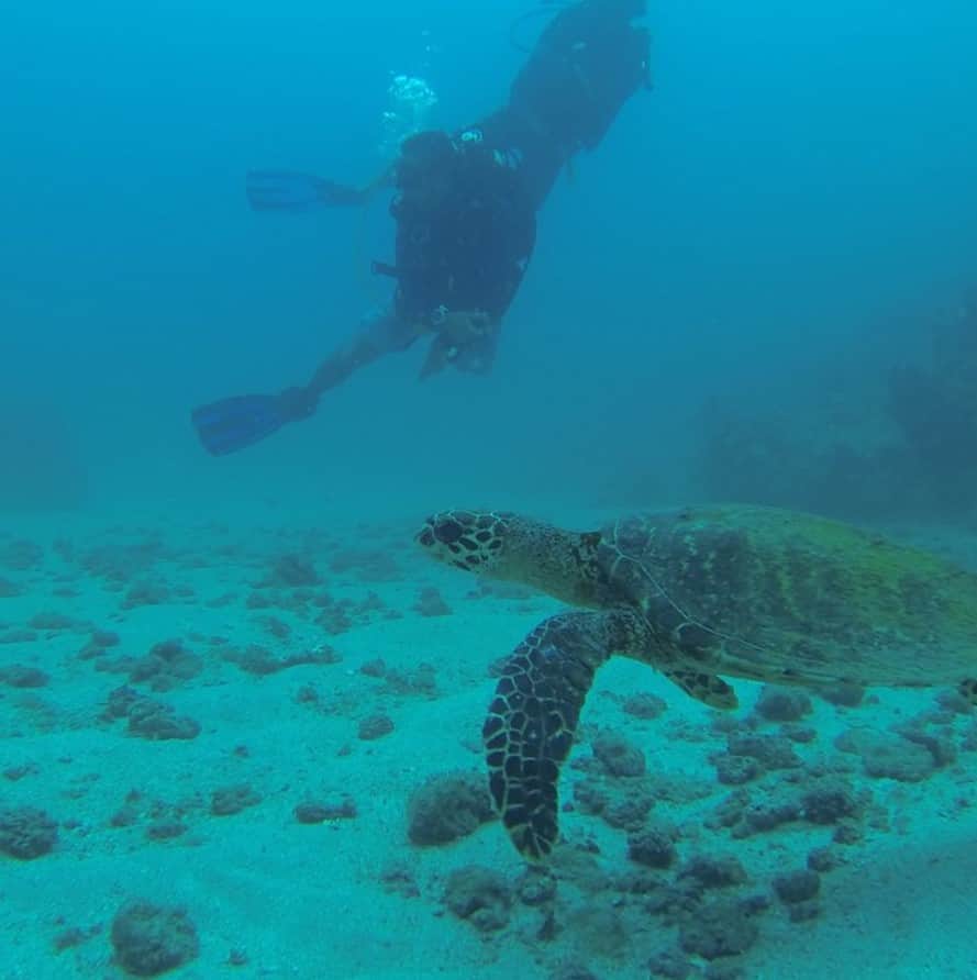 diving tour 