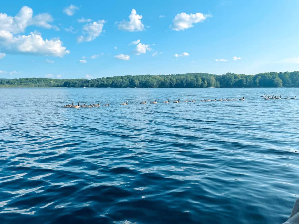 If you are luck you might have some friends visit you