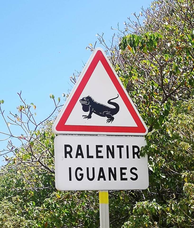 Un panneau spécifique de la Desirade!