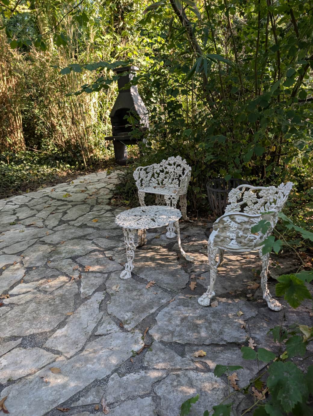 PXL 20250819 160914994