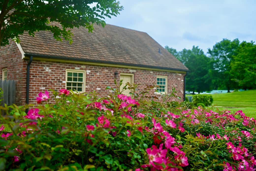 Cottage Side View