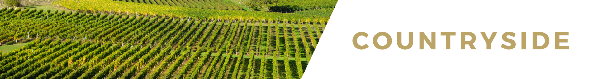 Countryside villa rentals