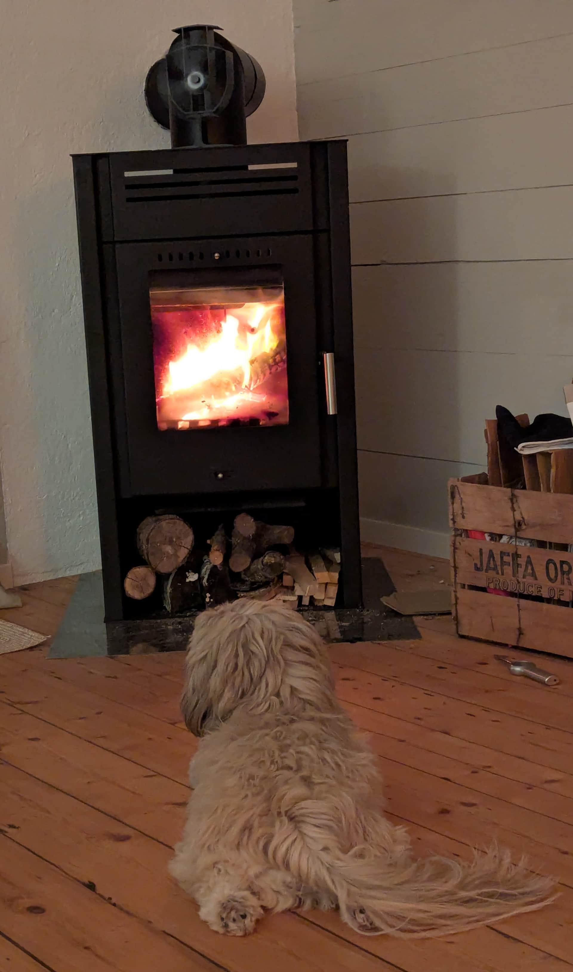 Dog-friendly cottage stay
