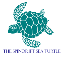 The Spindrift Sea Turtle