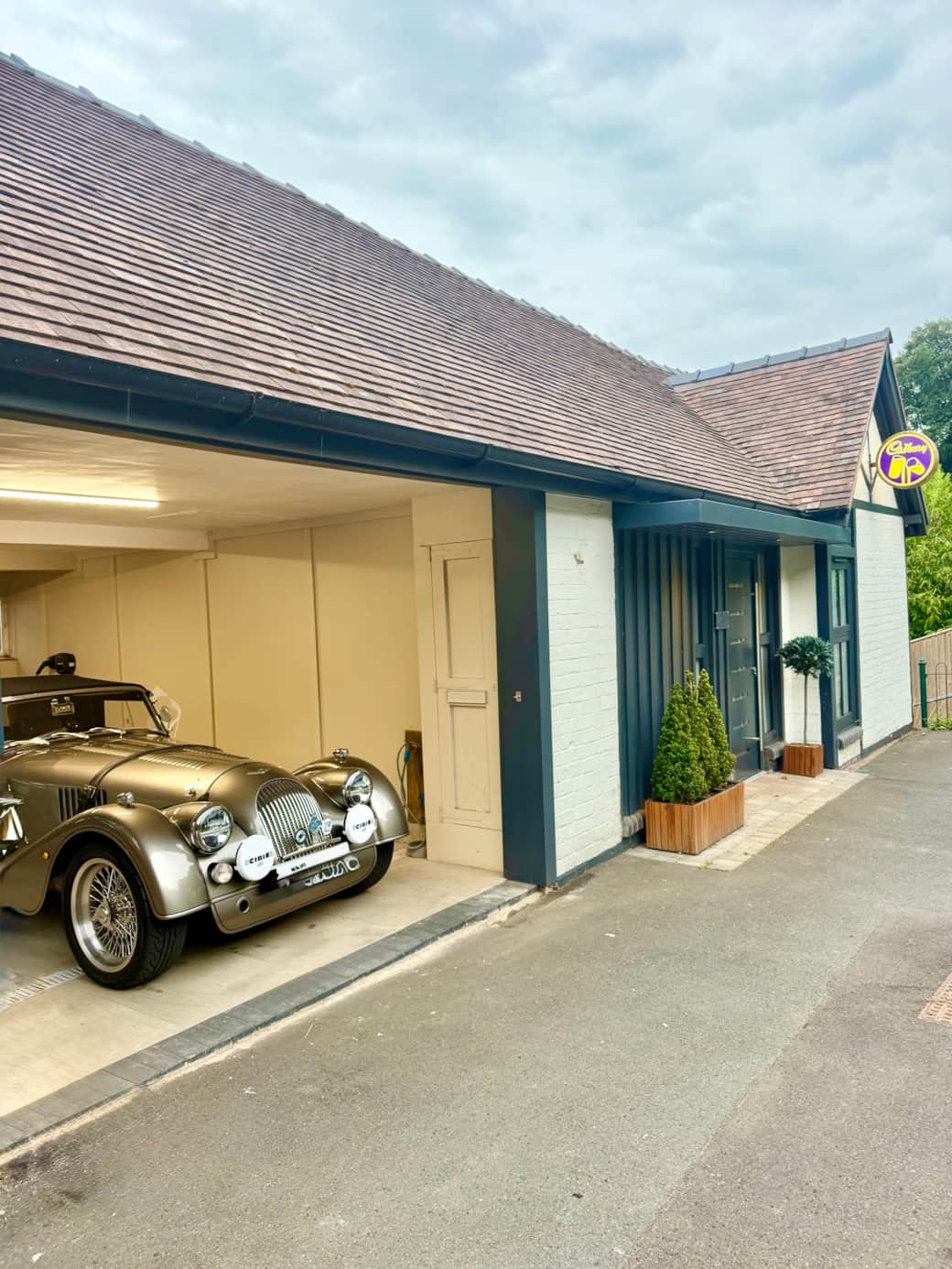 Great for Morgan lovers