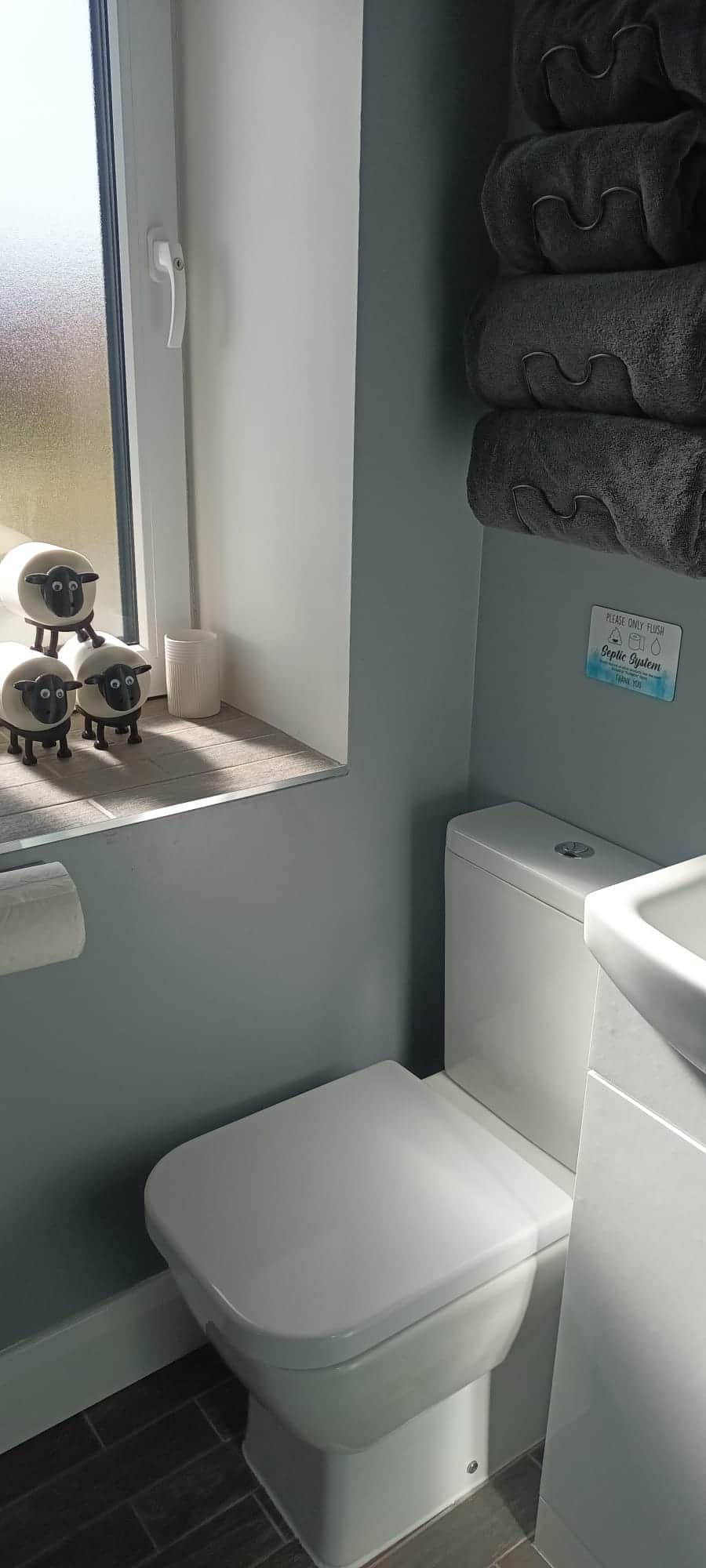 Connemara Lake View Bathroom