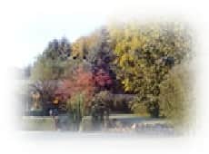 Ferienhaus Ringelwiese