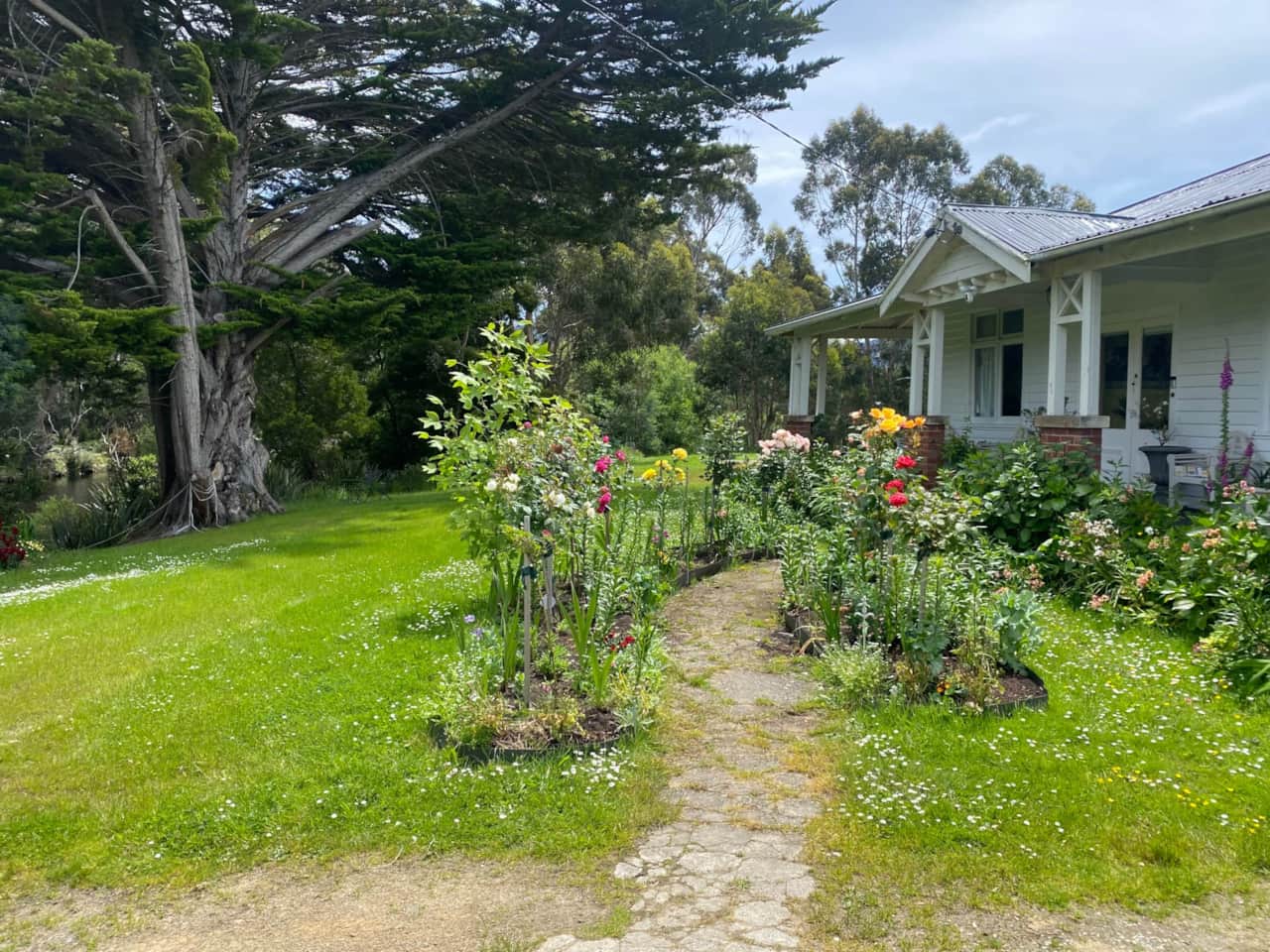 Front Garden - bursting with vibrant colour