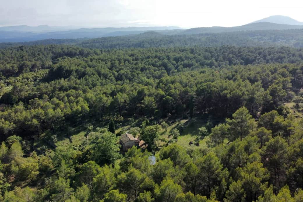 Le bastidon au coeur des oliviers et de la forêt Le bastidon au coeur des oliviers et de la forêt