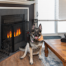 Rental image