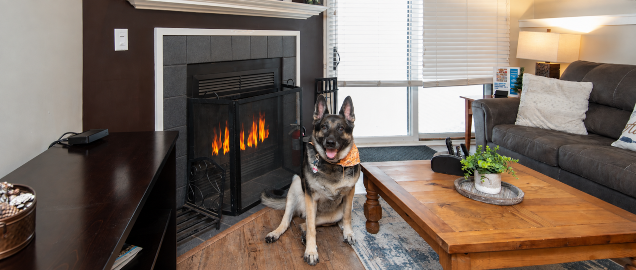 Cozy fireside moments with your favorite travel companion. 🐾 Discover our dog-friendly retreat