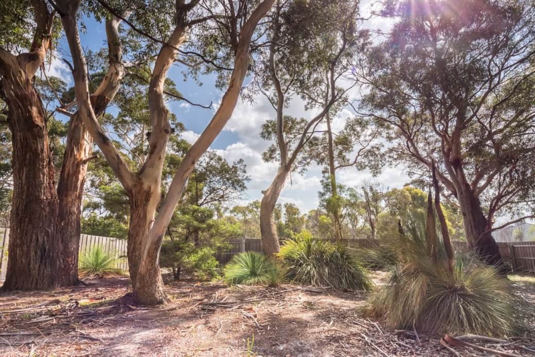 Bushhideaway bayoffires 30
