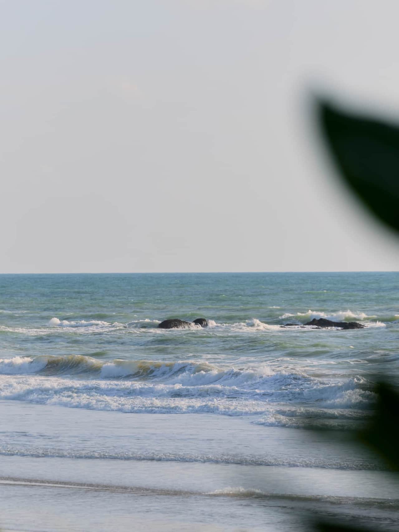 The Sea