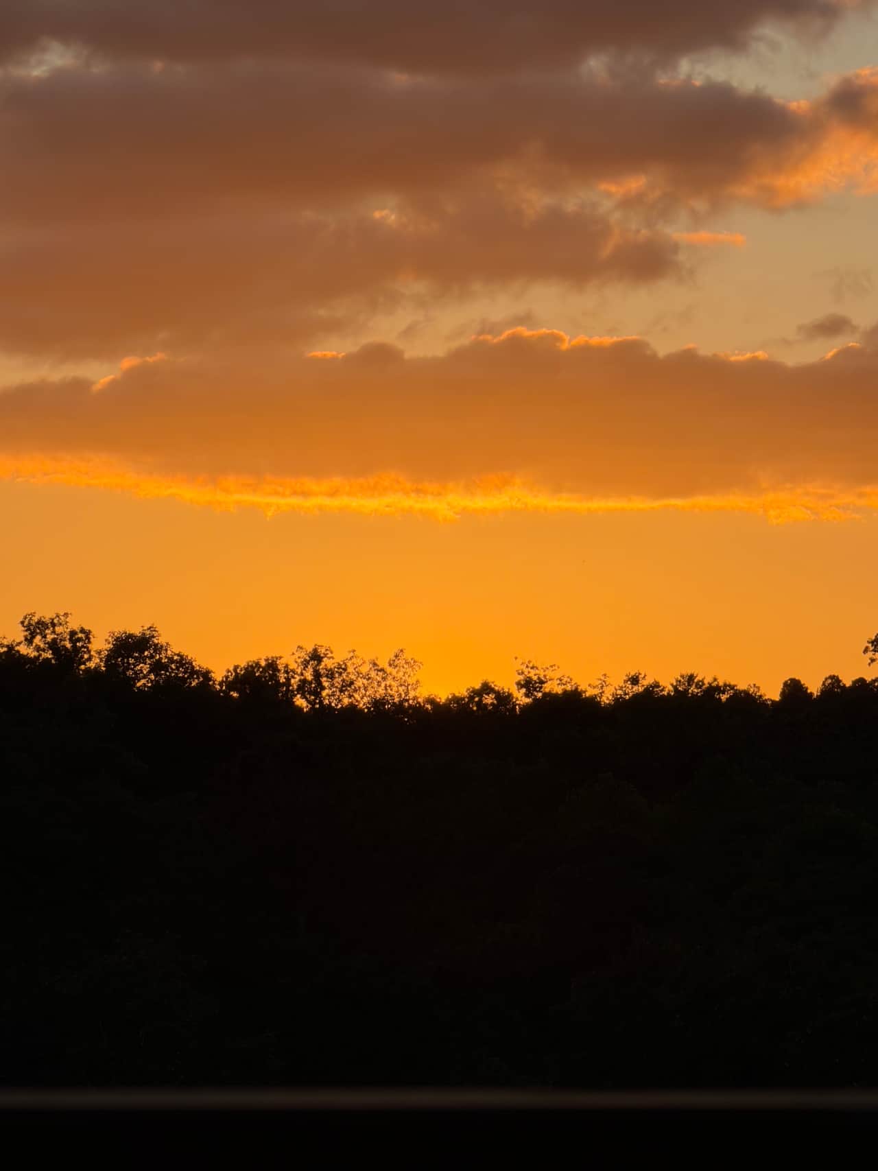 We get the bright yellow skies in the late summer!