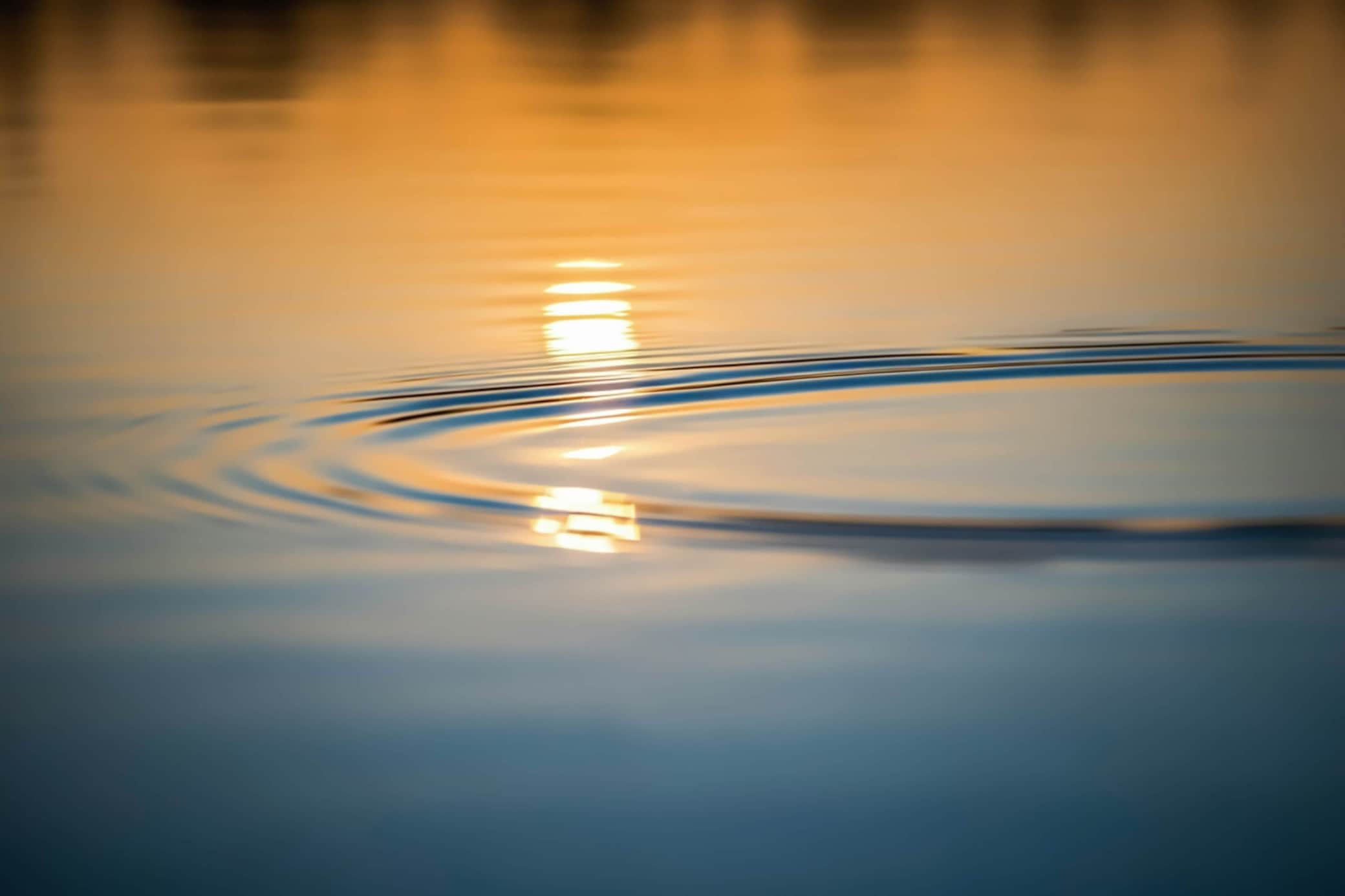 https://l.icdbcdn.com/oh/51764b58-b2fe-42f1-812a-4e30460c54b0.jpg?w=2080-7