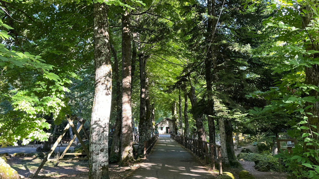 il Bosco delle Fate