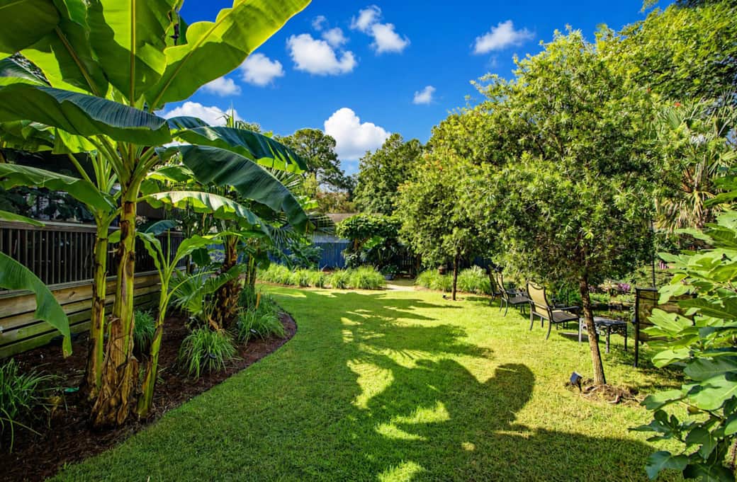 View of Garden from Cottage entrance