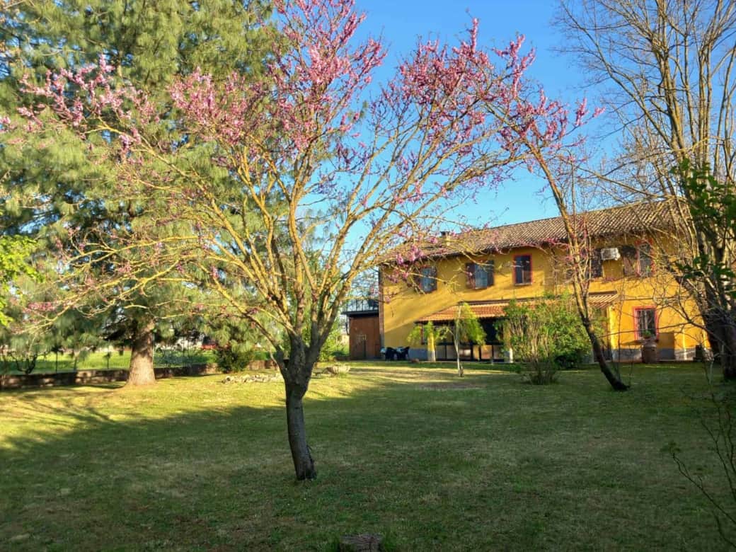 Casa vista dal giardino in primavera