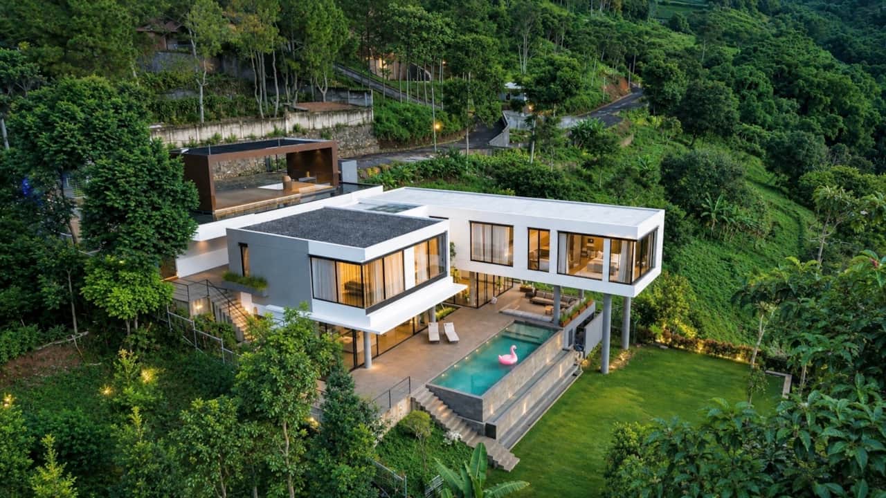 Bird View