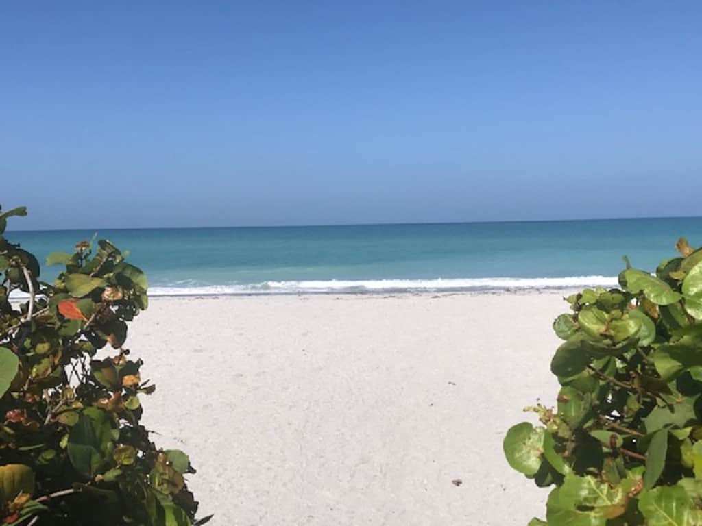 Beach View Out Front