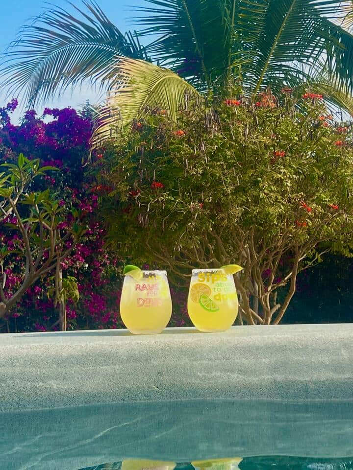 Cheers!