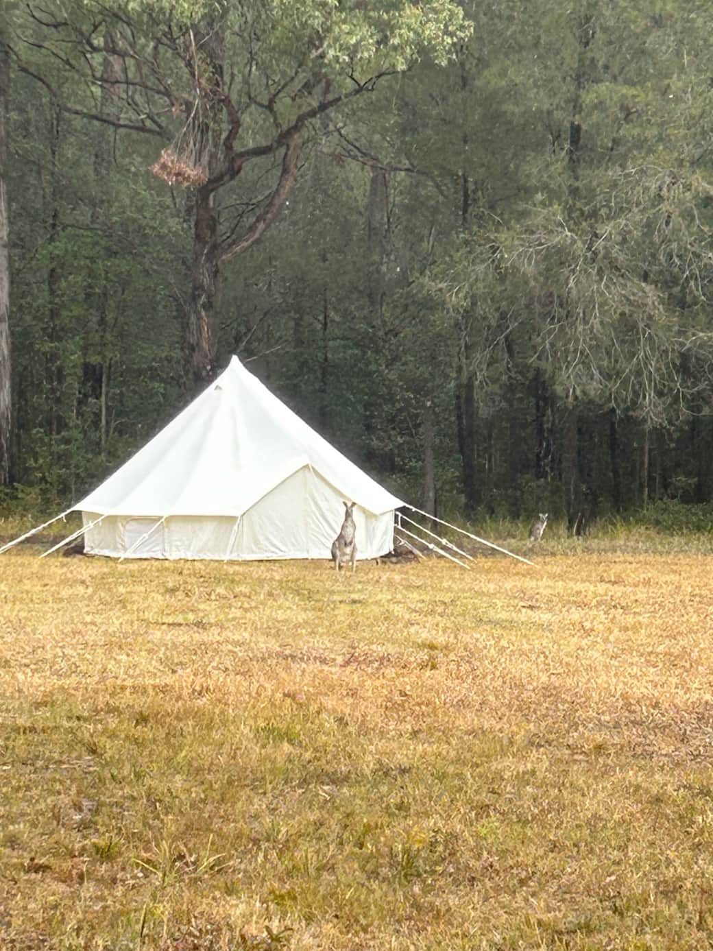 (Key Words - SEO) minn 6 picture