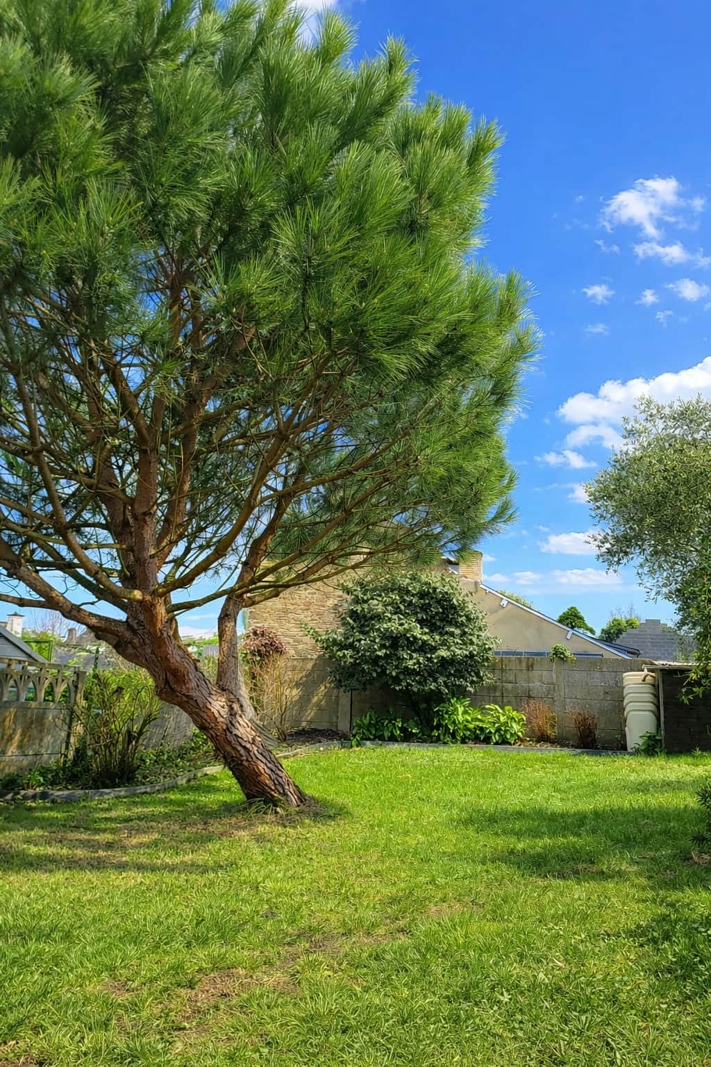 Jardin
