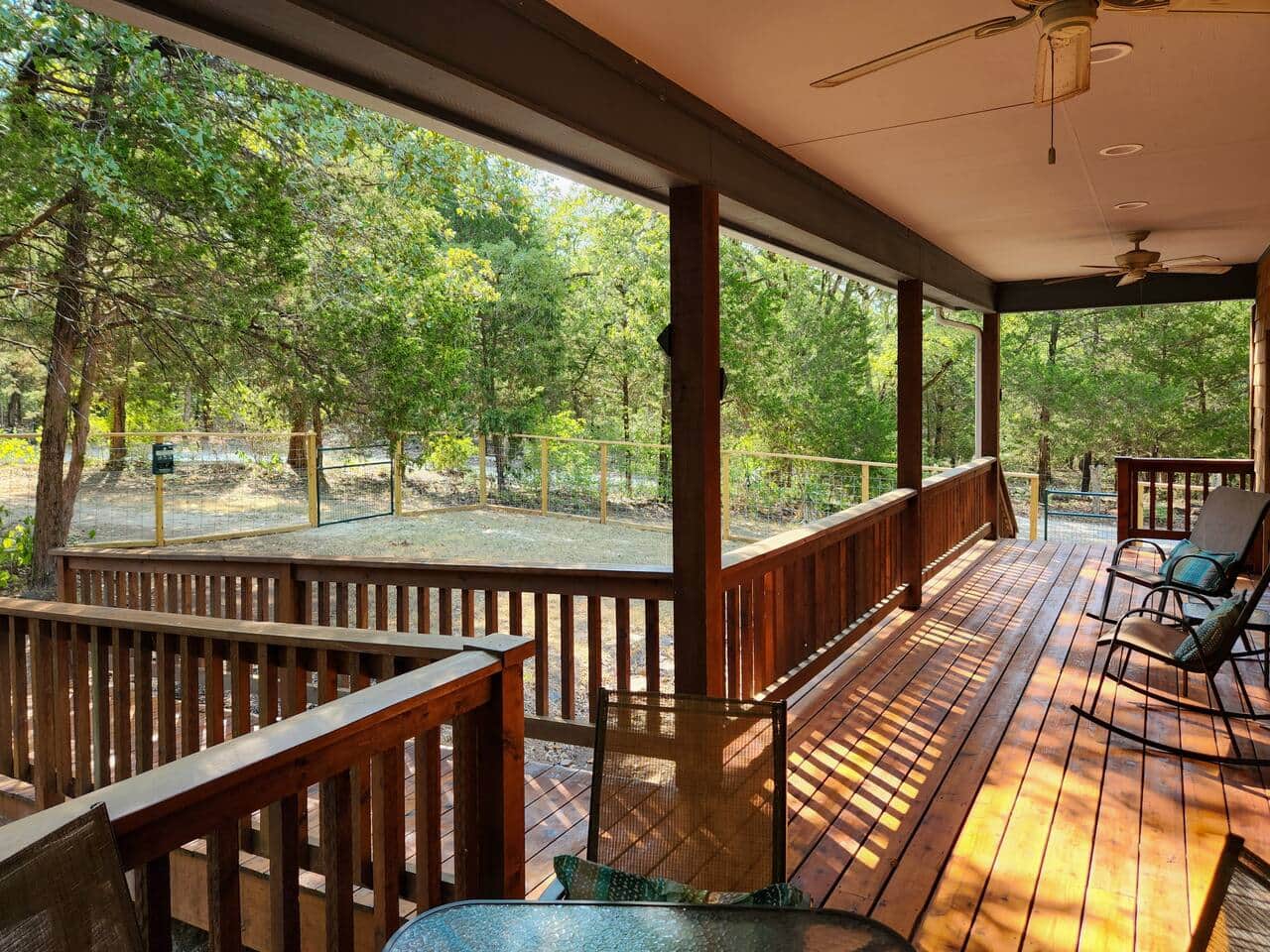 Fully fenced yard with forest views