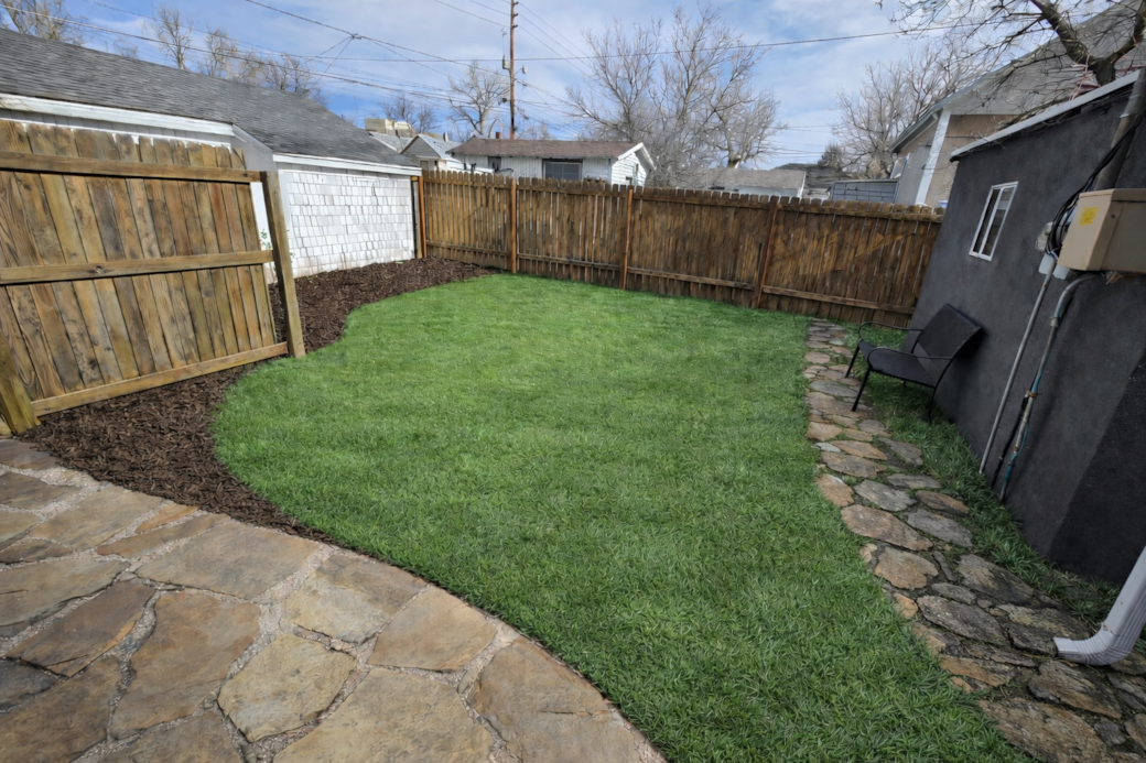 Back yard Back yard
