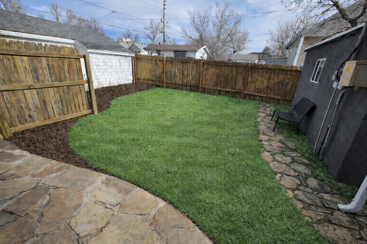 Back yard